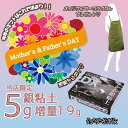 (プレゼント付き)アートクレイシルバースターターセットDX 【銀粘土5g増量】純銀粘土 シルバー アクセサリー 手作り キット クレイ ギフト ペアリング クラ...