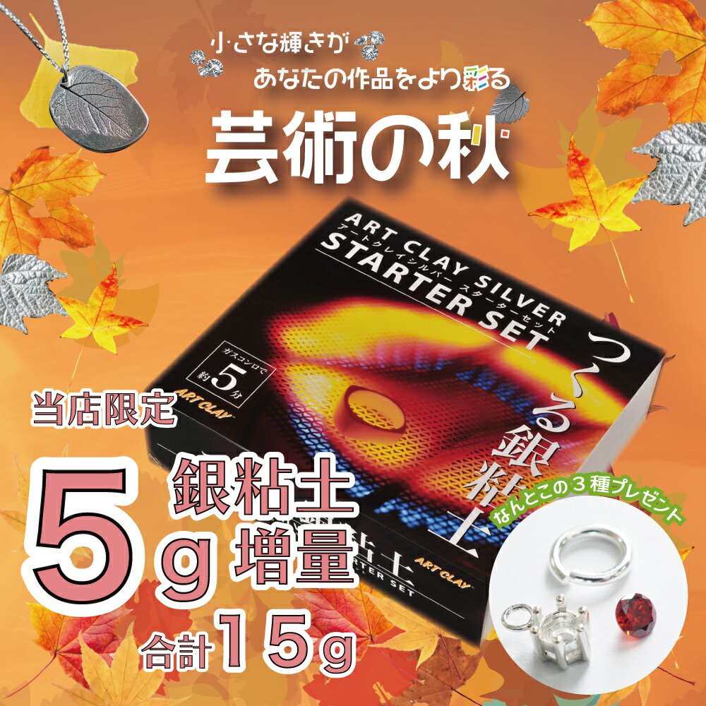 (プレゼント付き)アートクレイシルバースターターセット 銀粘土 5g増量 送料無料 シルバー アクセサリー 手作り キット ギフト クラフト 銀細工 手づくり オリジナル ジュエリー