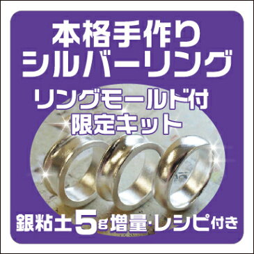 アートクレイシルバースターターセット【銀粘土 5g増量・リングモールド・レシピ付】送料無料 純銀粘土 シルバー アクセサリー 手作り キット ギフト プレゼント クラフト 銀細工 手づくり 自分だけの オリジナル 世界でひとつ ジュエリー 彫金