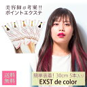 EXST de colorカラーエクステ 髪 メッシュ エクステ つけ毛 カラー 人毛 ダンス ストレート えくすて ヘアエクステ 付け毛 毛 耐熱 ゴム エクステンション ナチュラル ワンポイント ヘアエクステンション （約30cm）/ 5本入