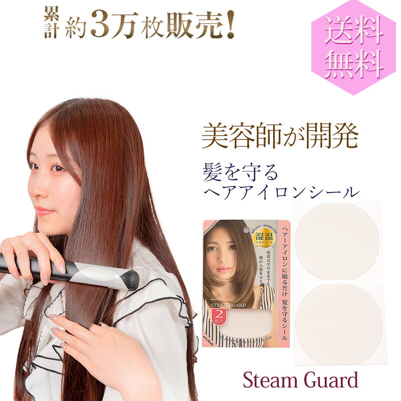 Steam Guard ストレートアイロン カー