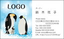 【送料無料】カラーデザイン名刺 ショップカード 印刷 作成【100枚】ロゴ入れ可 ペンギン animal018