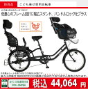 子供乗せ【子供乗せ自転車3人乗り対応】 子供乗せ専用自転車 ...