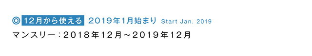 ＼在庫限り最終価格／【2019年1月始まり手帳】 12月から使える B6/2倍マンスリー 2MB6-リフィル [m] スケジュール帳 2019 おしゃれ 大人 かわいい デザイン 直営店舗 アーティミス