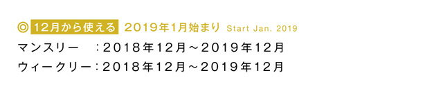 ＼在庫限り最終価格／【2019年1月始まり手帳】 12月から使える A6/ブロック DL-リフィール [m] スケジュール帳 2019 おしゃれ 大人 かわいい デザイン 直営店舗 アーティミス