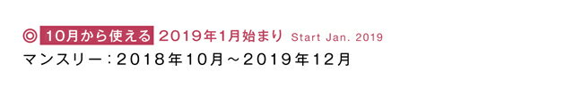 ＼在庫限り最終価格／【2019年1月始まり手帳】 10月から使える B6/マンスリー 日曜始まり MB6-オウル [m] スケジュール帳 2019 おしゃれ 大人 かわいい デザイン 直営店舗 アーティミス