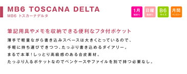 手帳 WEB限定 2020 年 1月始まり 10月から使える B6 / マンスリー 日曜始まり MB6-トスカーナデルタ m 大人かわいい　おしゃれ スケジュール帳 ダイアリー 大人 かわいい デザイン プレゼント アーティミス