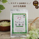 【定期購入】ライラック乳酸菌 スタンダード 60g （約1ヶ月分）【送料無料】【アテリオ・バイオ公式】