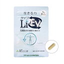 【スーパーセール特価】LiEV(ライブ)約1ヶ月分| ライラック乳酸菌由来の細胞外小胞(EV)が入ったサプリメント