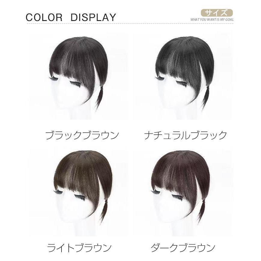 ウィッグ 前髪ウィッグ 3D構造 白髪かくし レディース エクステ ポイントウィッグ ...