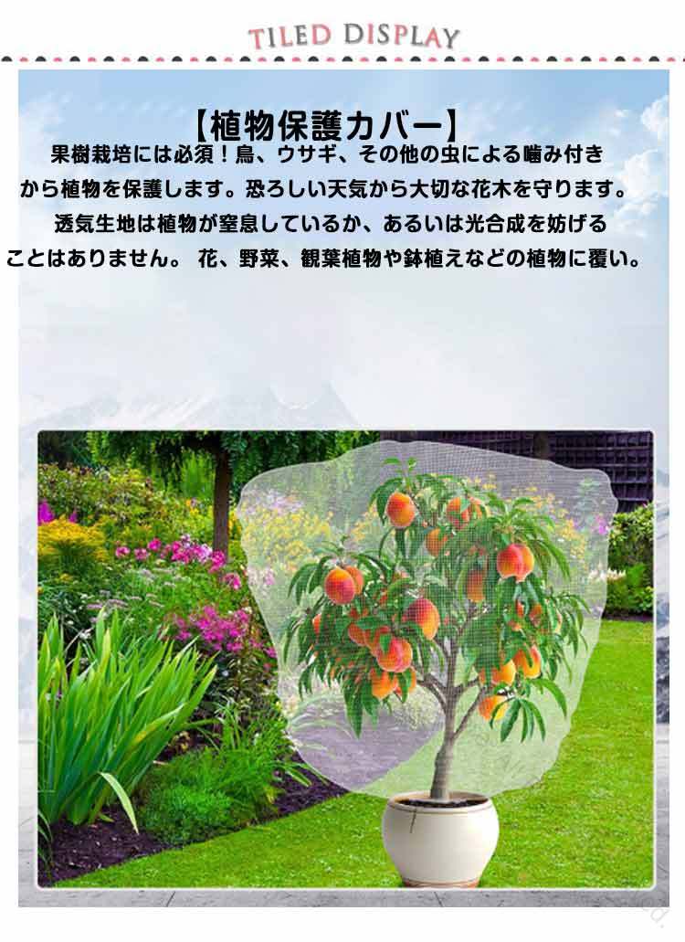 菜園プランタ ネット 虫よけネット 果樹 防虫網 果樹栽培 虫害対策 防虫ネット フ...