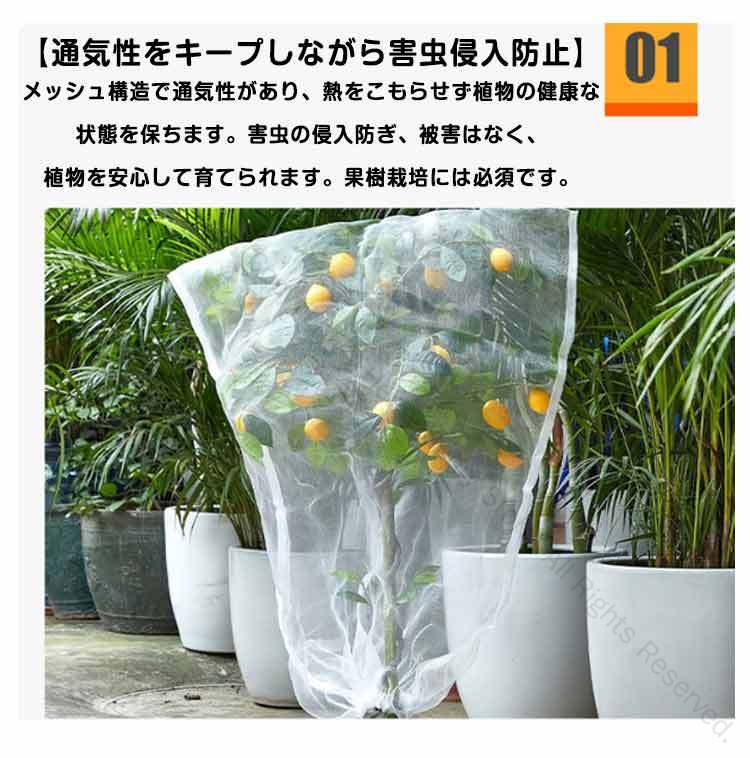 菜園プランタ ネット 虫よけネット 果樹 防虫網 果樹栽培 虫害対策 防虫ネット フ...