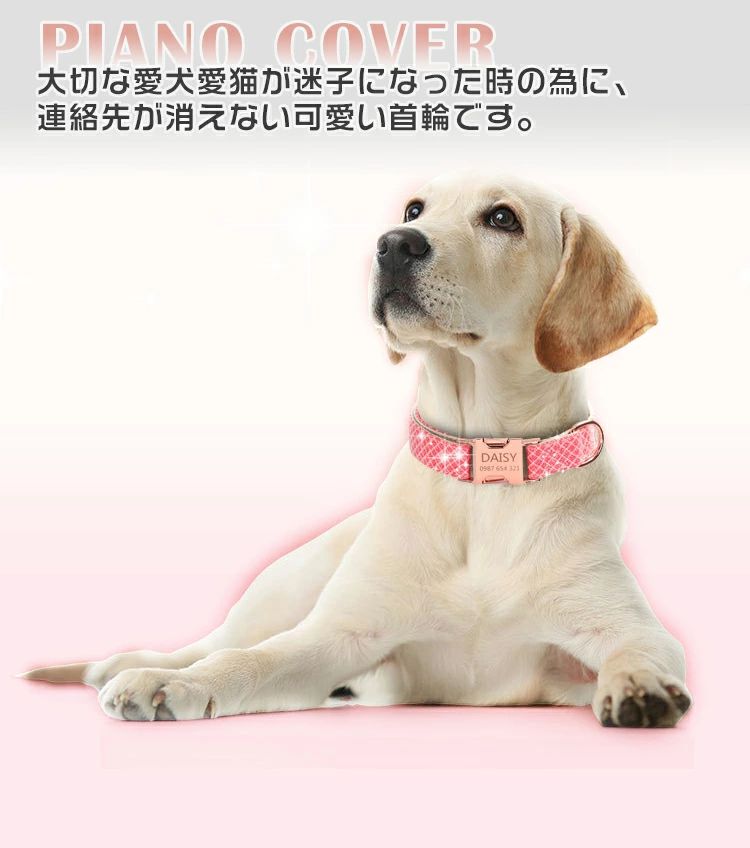 ペット用品 安全 犬用首輪 いぬ 犬の首輪 犬首輪 可愛い 迷子防止 刻印無料 軽量 ...