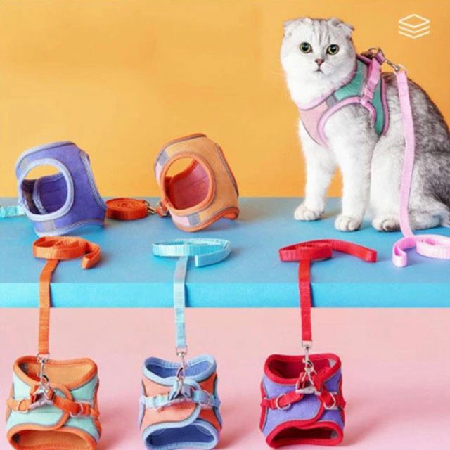 猫 ハーネス リードセット 猫用 犬用 小型犬 胴輪 脱げない 簡単装着 お出かけ 散...
