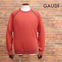 【期間限定ポイント5倍】【アウトレット】GAUDI ニット ダブルフェイス ウール混ハイゲージニット 無地 クルーネック ベーシック ラグラン 定番 メンズ ハイランク イタリアブランド【ja229-24200TAF】(4)