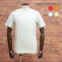 【期間限定ポイント5倍】AMERICAN EAGLE 定番Tシャツ 1164-1542 ジャージー伸縮 無地 イーグル刺繍 クルーネック 半袖 シンプル 万能 ...