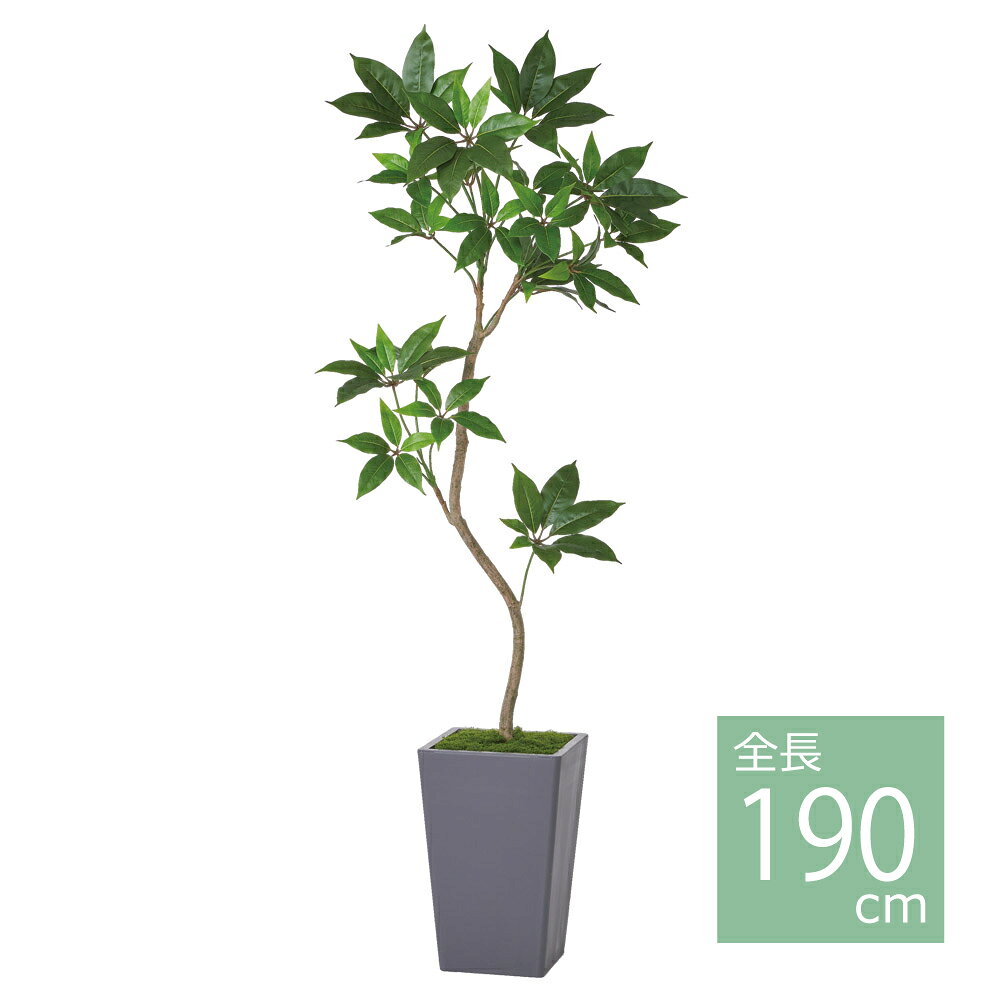 ツピタンサス(コンテナキット)・051A グリ−ン／asca人工観葉植物 フェイクグリーン インテリア