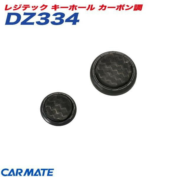 レジテック キーホール カーボン調 静電気除去キーホール カーメイト CARMATE DZ334