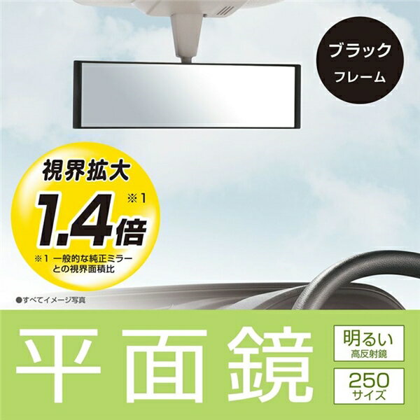 �����ᥤ�� ʿ�̥롼��ߥ顼 250mm ��ȿ�Ͷ� M51