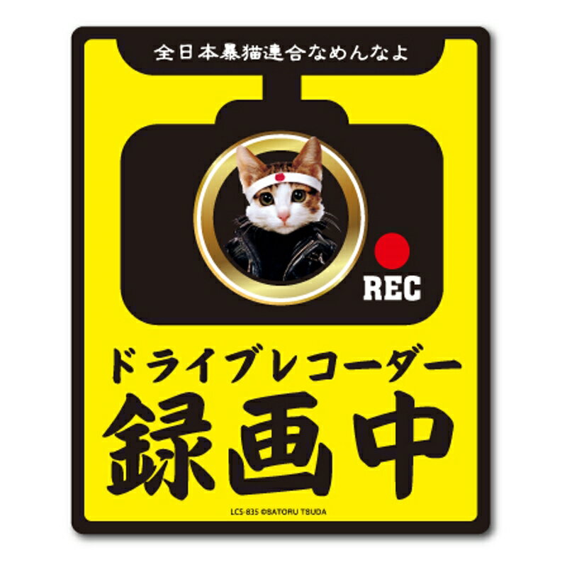 ドラレコステッカー なめ猫 ステッカー ドライブレコーダー 録画中 ゼネラルステッカー LCS-835