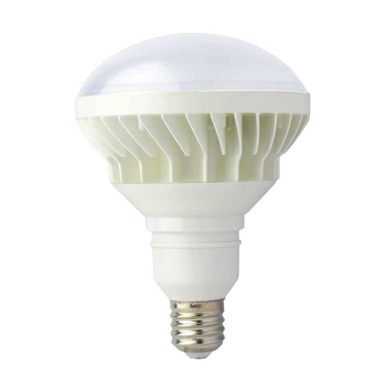 trad LED電球 50W 三共コーポレーション CLD-50W