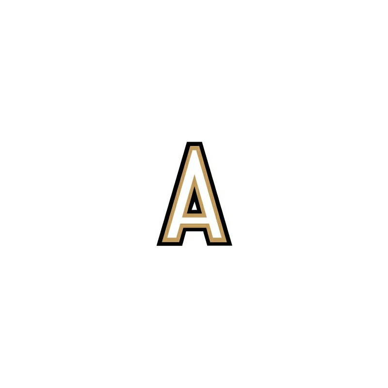 イニシャルステッカー 5.0 A ステッカー アルファベット 【A】 DIY リメイク 5.0cm ゼネラルステッカー LD-2A