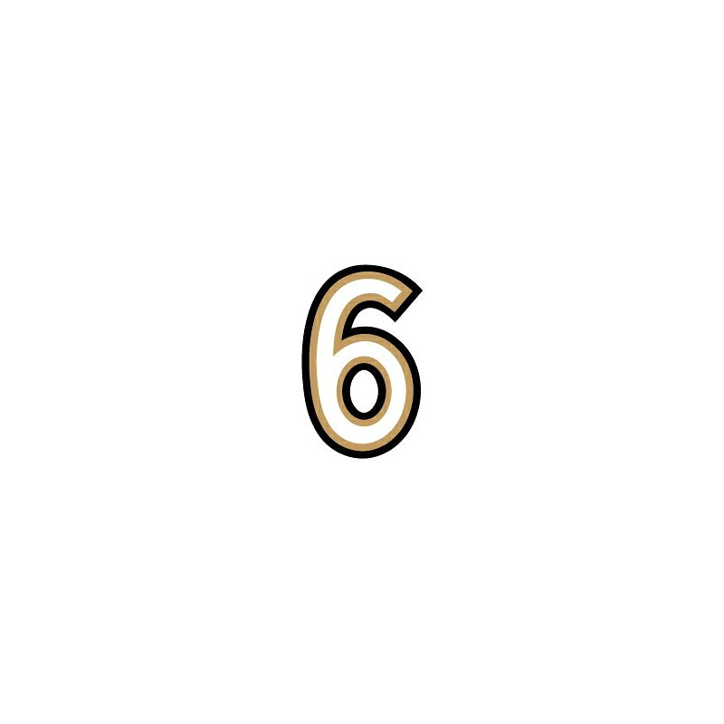イニシャルステッカー 5.0 6 ステッカー ナンバー 数字 【6】 DIY リメイク 5.0cm ゼネラルステッカー LD-26
