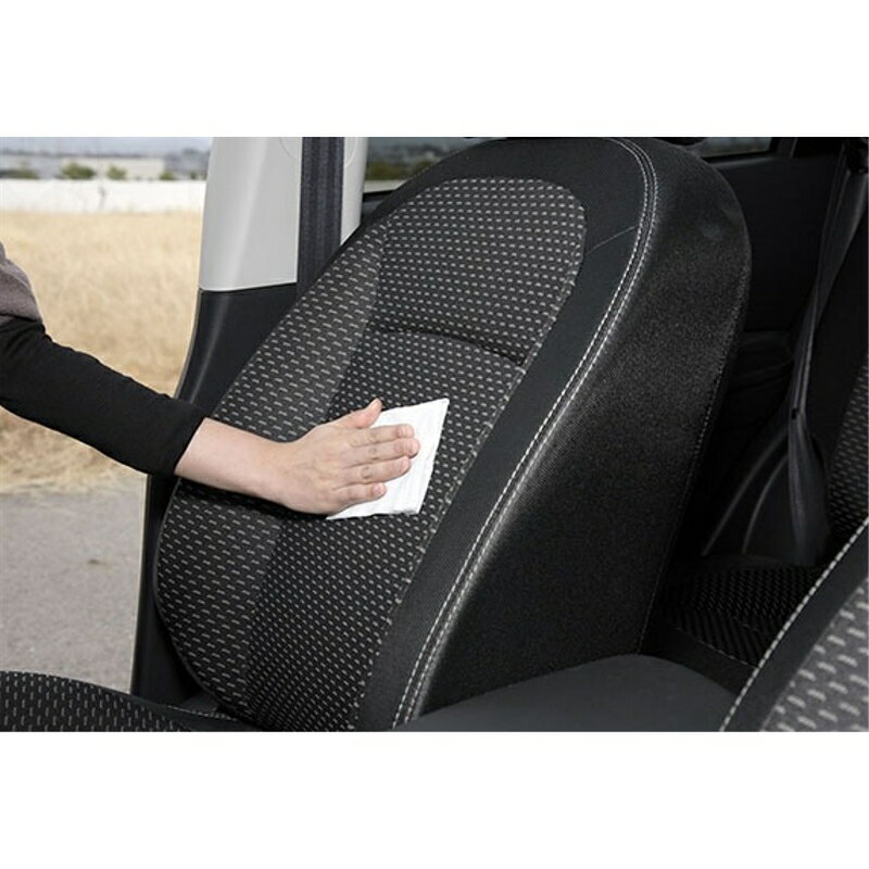 フクピカ布シート 洗車 車内 クリーナー シート ソフト99 02067