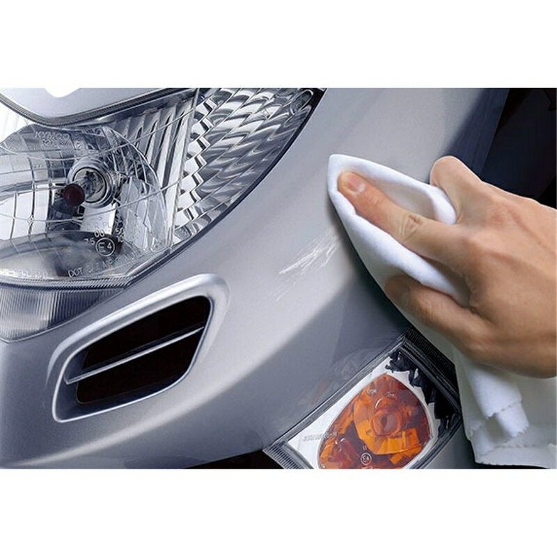 プラスチッククリーナー 洗車 車外パーツ クリーナー ソフト99 09066