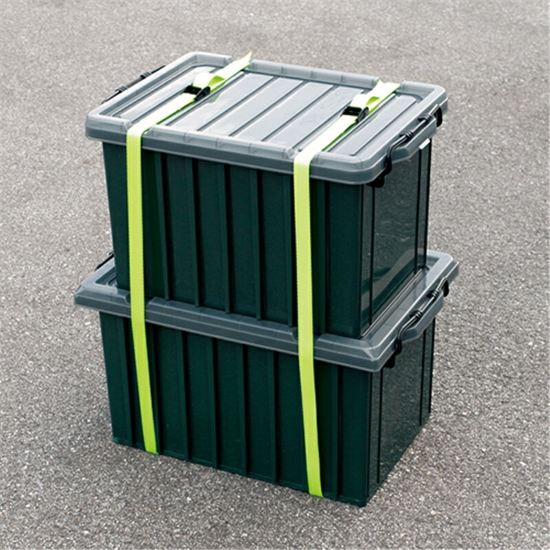 ����Хå��뼰�����٥�� E-VALUE BT-254(LG)2pcs ƣ������