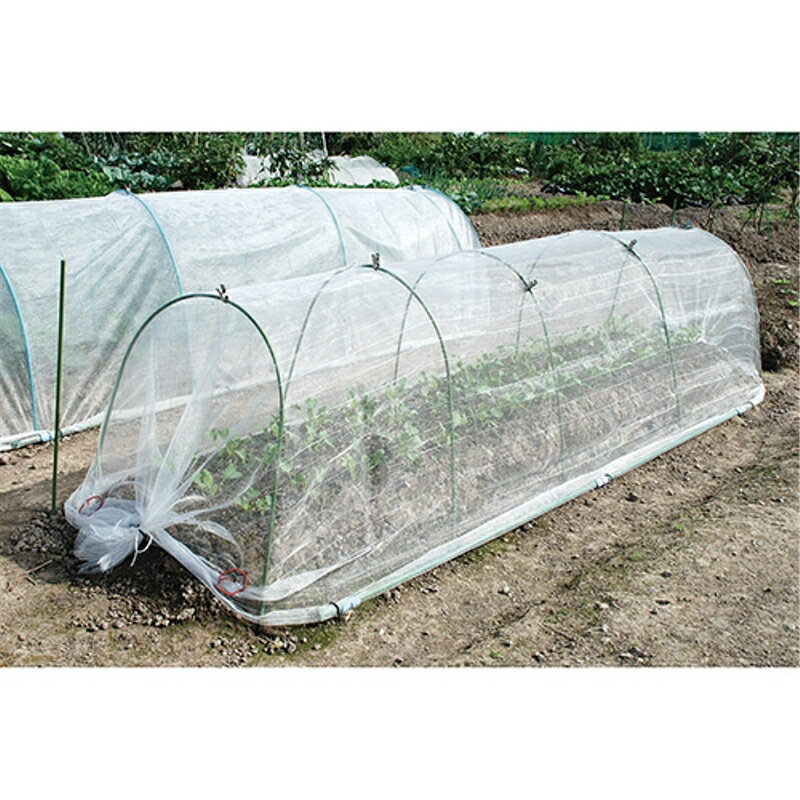 ����ͥå� �ܹ�1mm ���եƥ�-3 1.8MX5M ƣ������