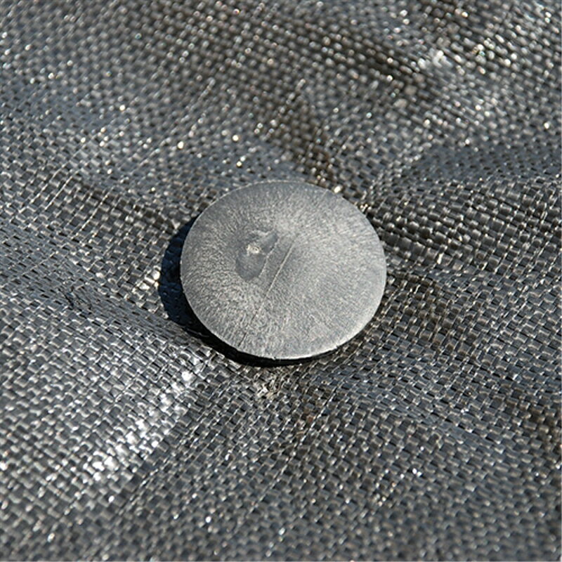 �����Ȳ��� 10P ���եƥ�-3 16cm ƣ������