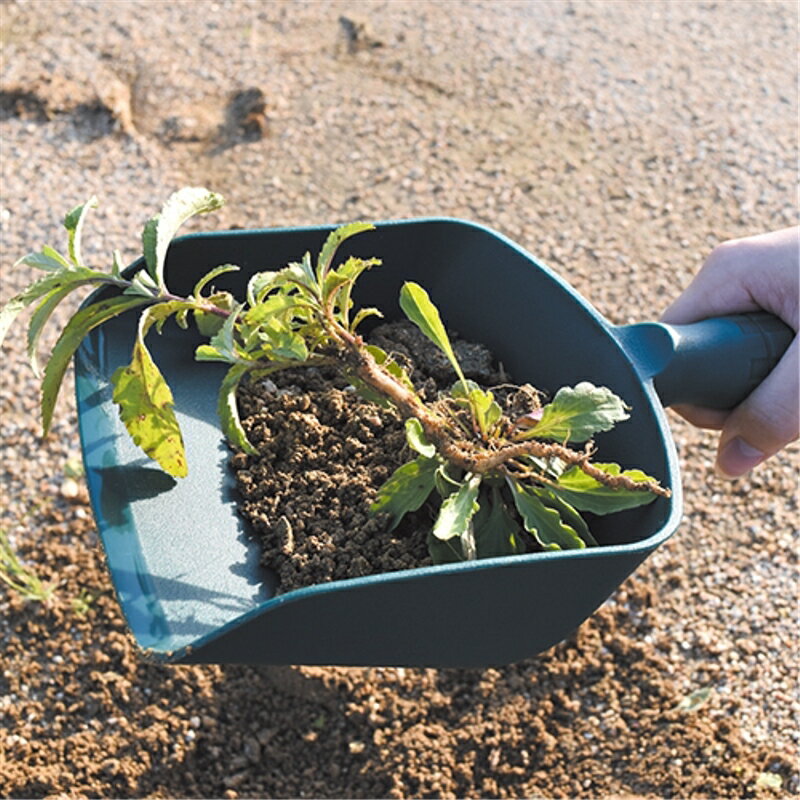 �դ�դ�ե륤 ��� SRF-1 ƣ������