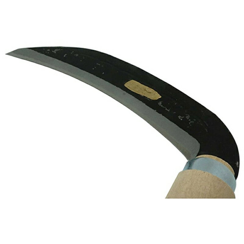 ��� ��� �� 165mm ƣ������