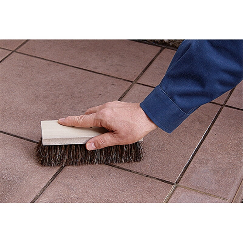 �����֥饷 ���������� ��Ĺ 1���祦 6���祦���ʥ� ƣ������