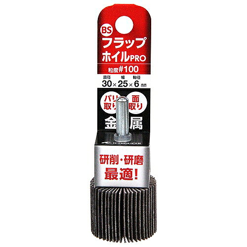 フラップホイルPRO BS 30X25X6-100 イチグチ 50193 DIY 工具 電動工具 研磨機 研磨...