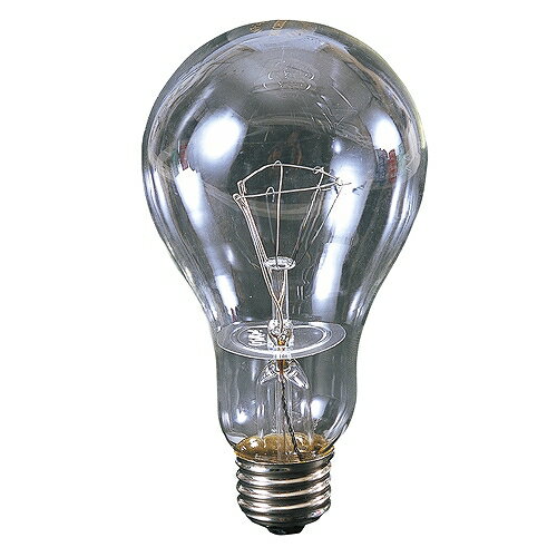 防雨型耐震球200W WT-200 日動工業 03546 DIY 工具 建築 建設用 作業灯 投光器