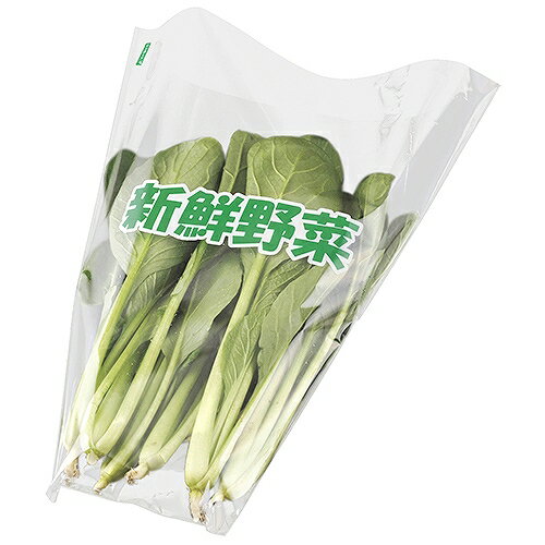 62291 T－20 新鮮野菜 大 CP782319 エフピコチューパ
