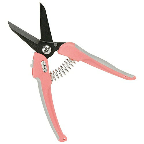 ���å�����ե���������� P-33 ���ܥƥ� 22331 DIY ���� �� �����ǥ˥� �����Ѷ� ����Ф���