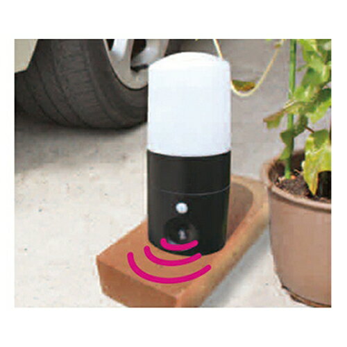 ���˥ޥ�Хꥢ�֥�å��ߥ� IJ-ANB-05-LED ���꡼�饤�� 38620 DIY ���� ���Ȼ��