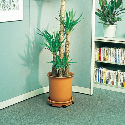 ���㥹�����ץ졼�� 40�� �֥饦�� ��ޥ� 71439 DIY ���� �� �����ǥ˥� ȭ �ץ�󥿡�