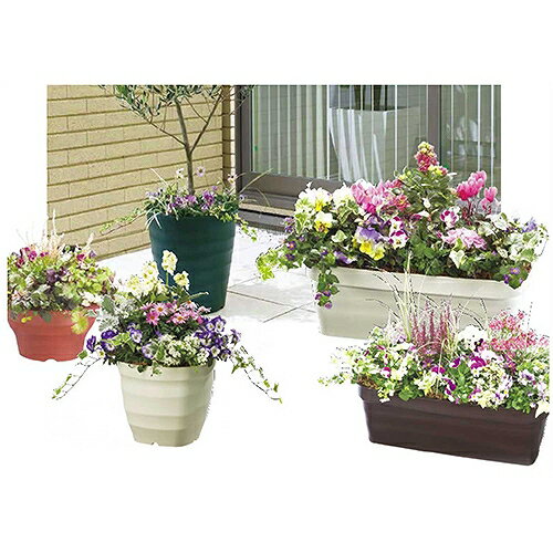 �ե쥰�顼�ץ졼�� 36���� ���������꡼�� ��ޥ� 72118 DIY ���� �� �����ǥ˥� ȭ �ץ�󥿡�