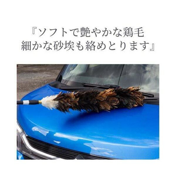 �ӤФ��� ����/���� ���� ���ͥϥ�ɥᥤ�� �������� �ۥ����� ������� ŷ�� ���� �Ϥ��� ���ݽ� ʩ�� �ǹ�� ������ ���� ��Ĺ86cm ��Ĺ ESCI M-60