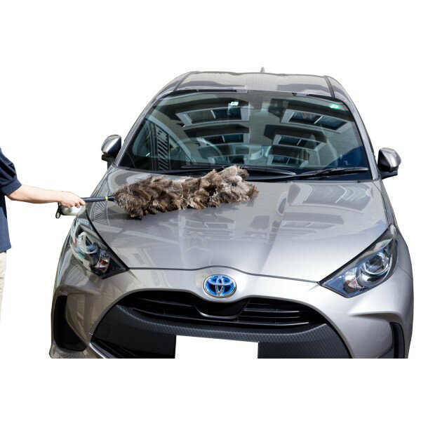 �ӤФ��� �������ȥ�å� ���� �ۤ��� �Ϥ��� �ݽ� �����ƥ��󥰼��б� ��Ĺ��92cm ������ ���ͥϥ�ɥᥤ�� �ǹ�� ŷ�� ���� MYS YD-160