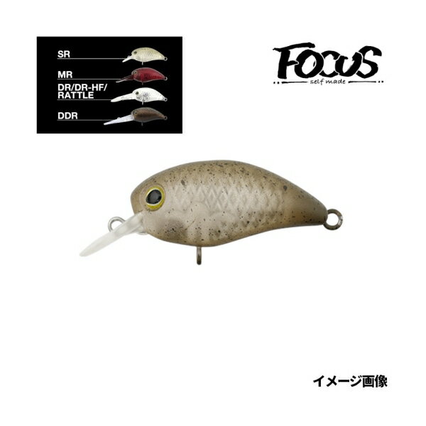 ティモン パニクラ´ MR VIBESオリーブ 31631 ジャッカル