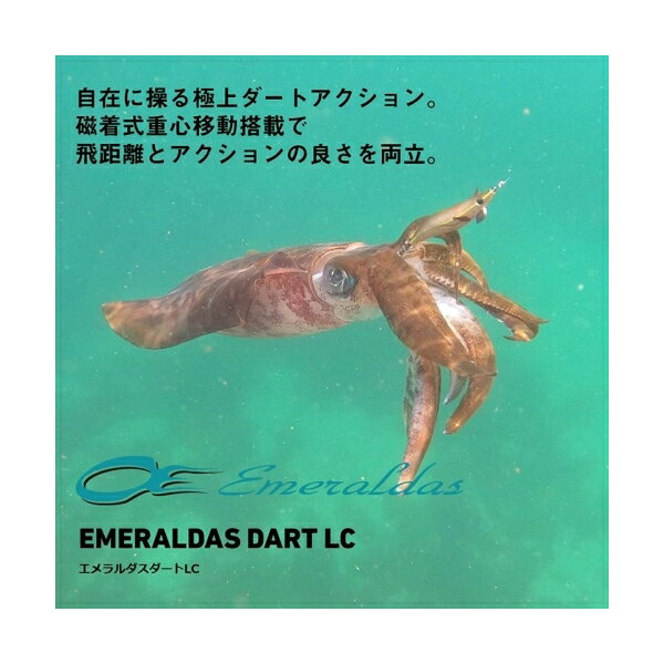 エメラルダスダートLC3.0 金-オレンジ杉 (2)