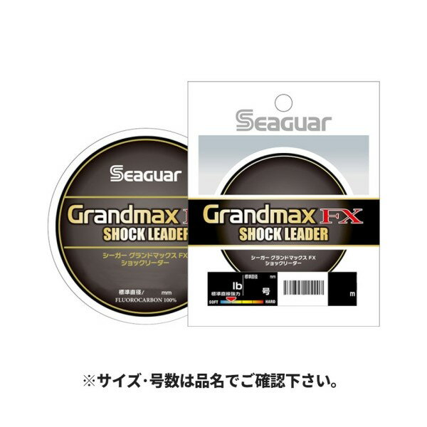 シーガー グランドマックスFXショックリーダー 5号
