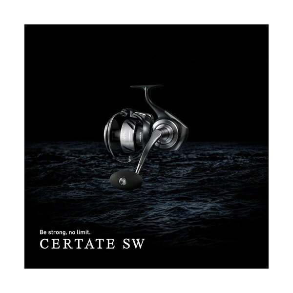 Daiwa 26 18000-H セルテート SW 54529 ダイワ
