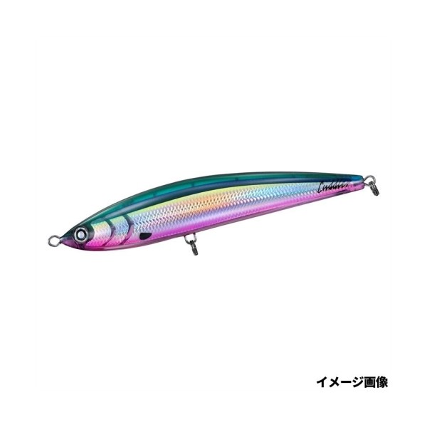 ソルティガ カドラー 240F ソルティガ カドラー 240F グルクン