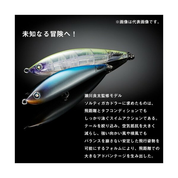 ソルティガ カドラー 240F ナチュラルイワシ (3)